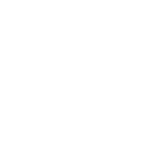 Gartenlandschaftsbau-Service: Bepflanzungen