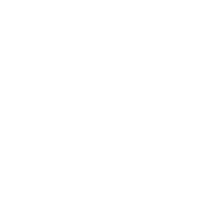 Gartenlandschaftsbau-Service: Zaunbau